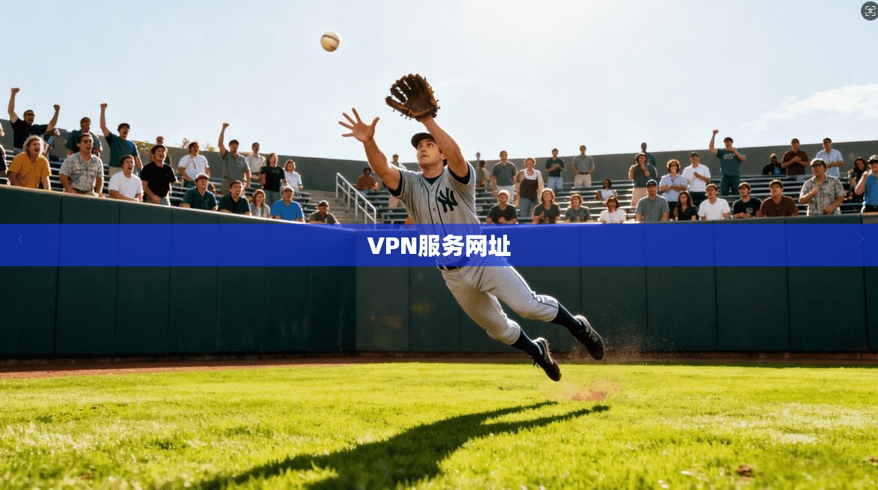 VPN服务网址  第1张