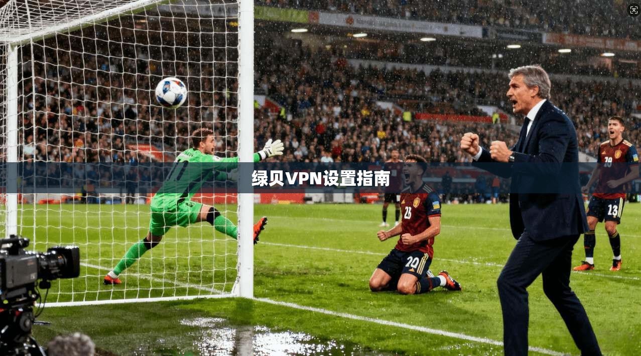 绿贝VPN设置指南  第1张