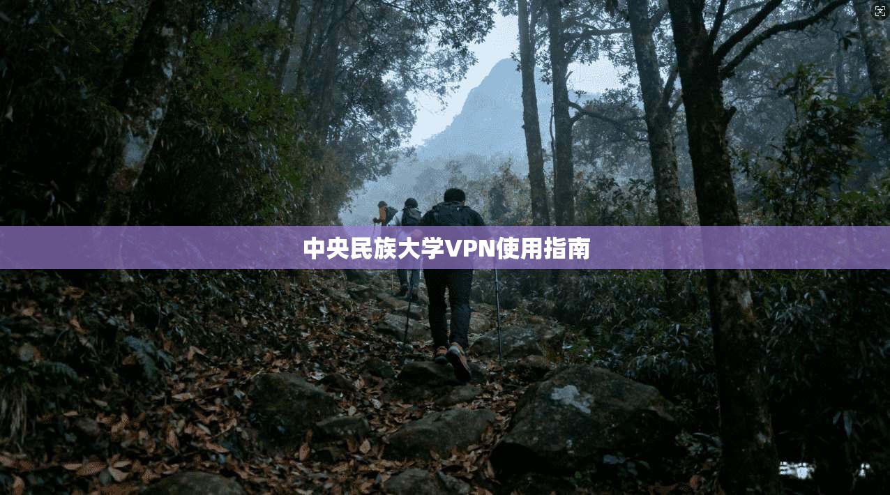 中央民族大学VPN使用指南  第1张