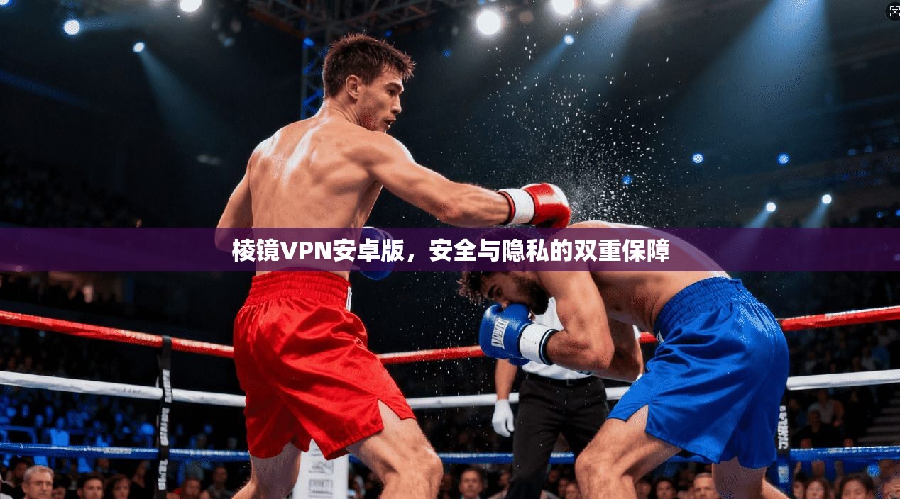 棱镜VPN安卓版，安全与隐私的双重保障  第1张