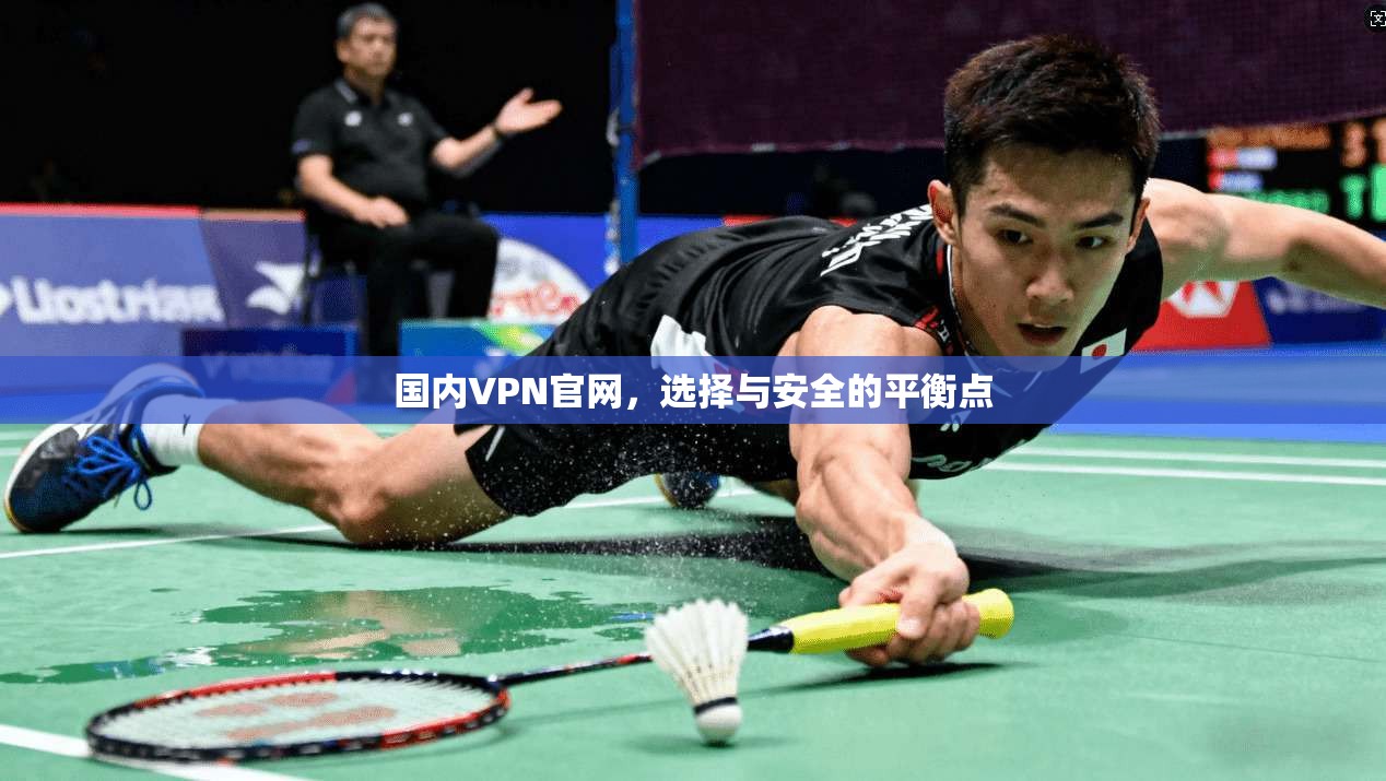 国内VPN官网，选择与安全的平衡点  第1张