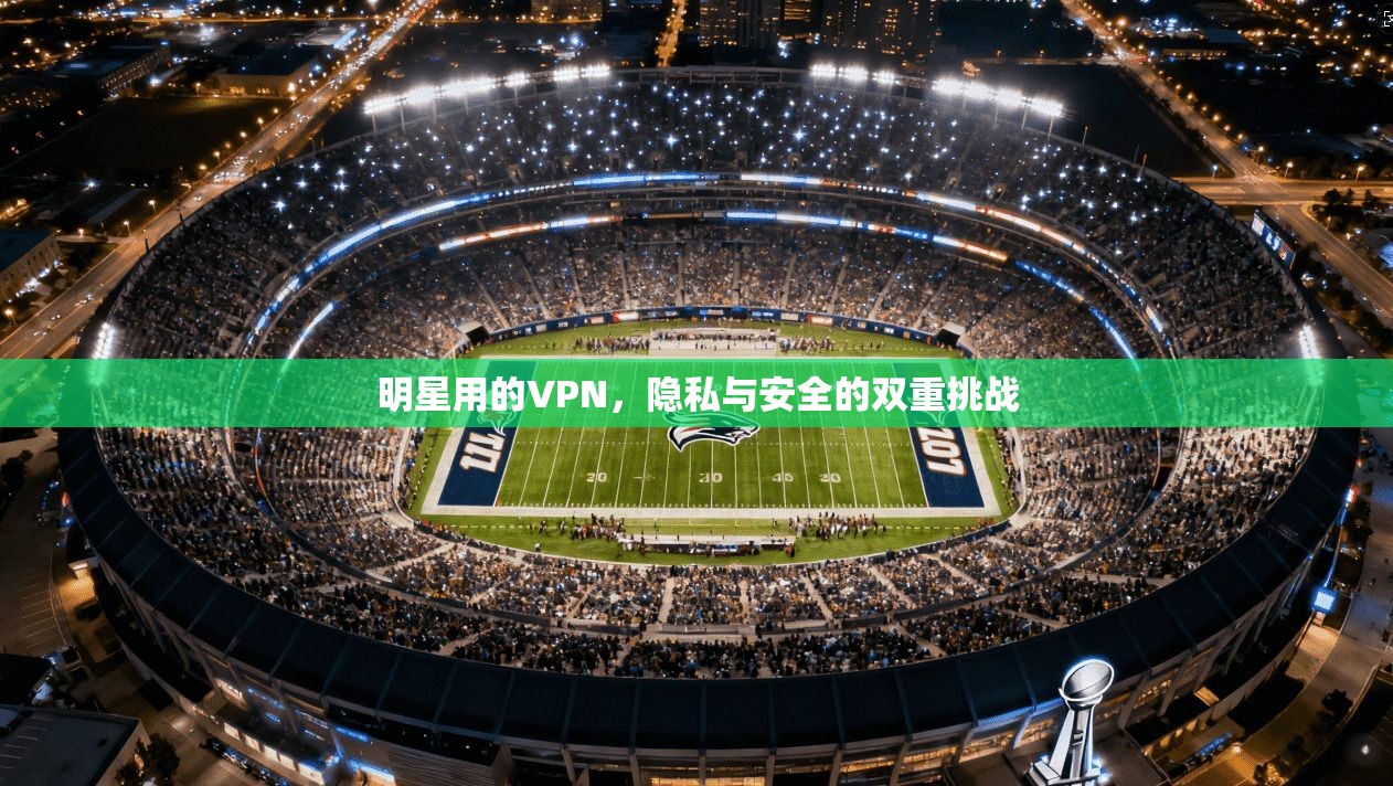 明星用的VPN，隐私与安全的双重挑战  第1张