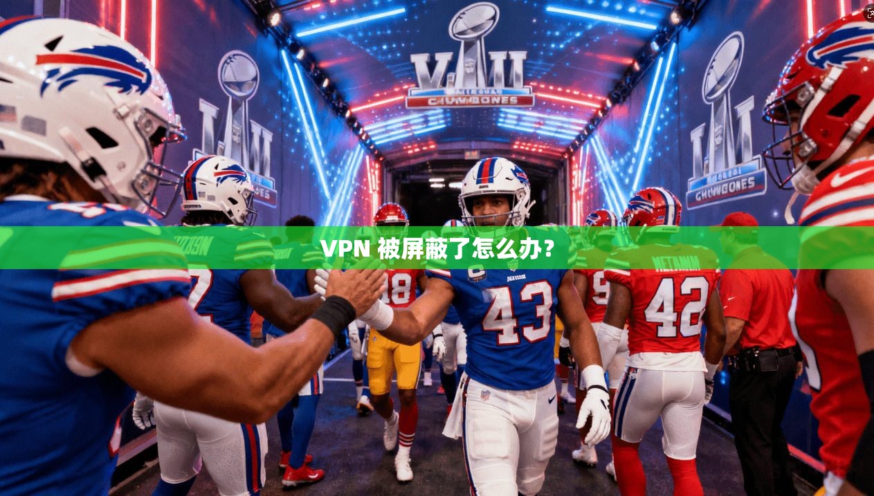 VPN 被屏蔽了怎么办？  第1张