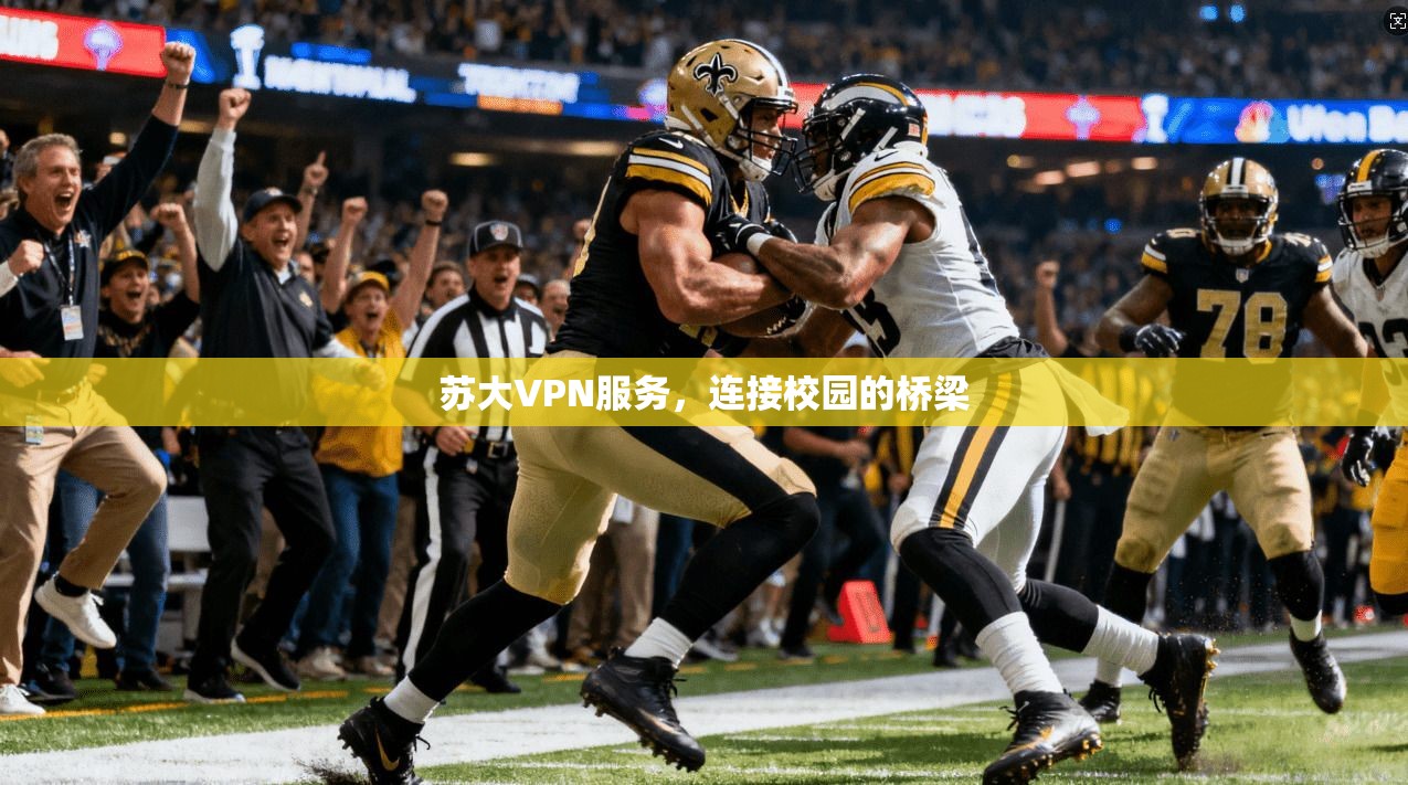 苏大VPN服务，连接校园的桥梁  第1张