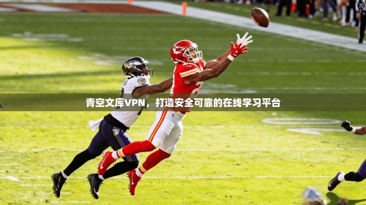 青空文库VPN，打造安全可靠的在线学习平台  第1张