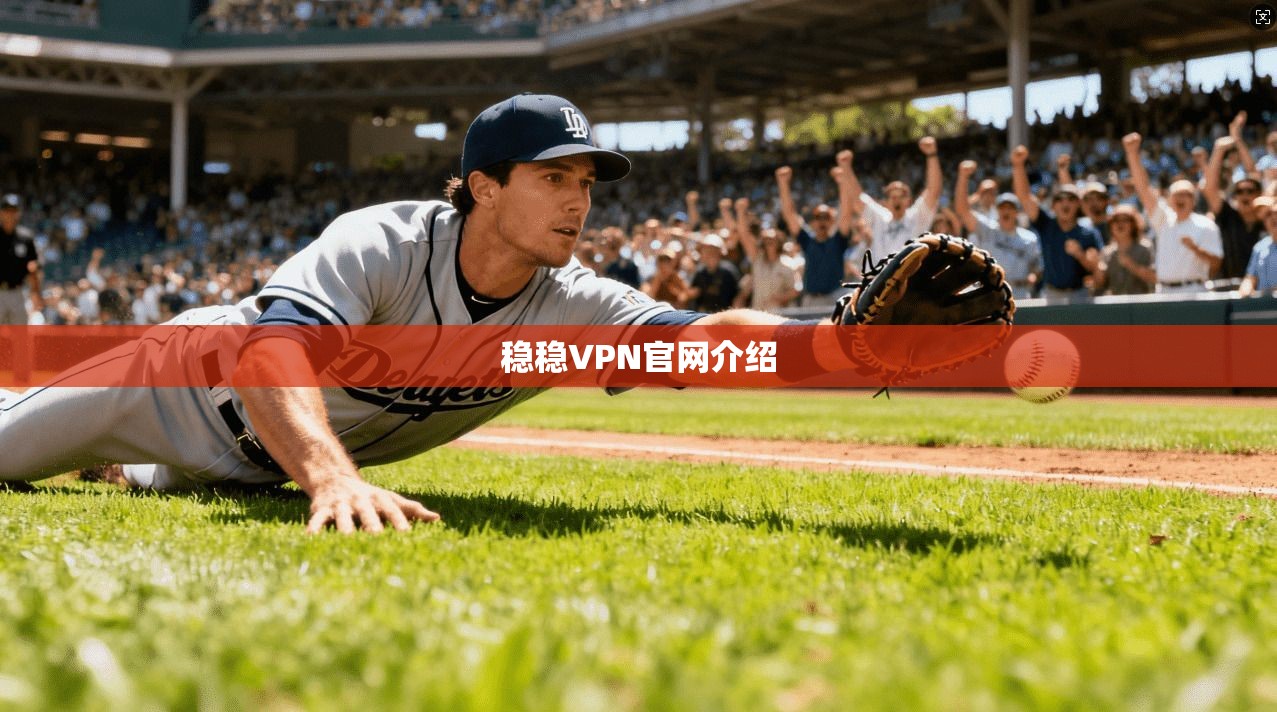 稳稳VPN官网介绍  第1张