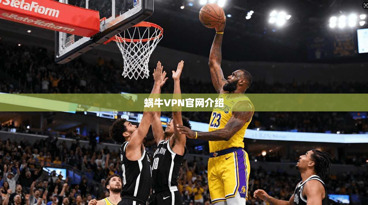 蜗牛VPN官网介绍  第1张