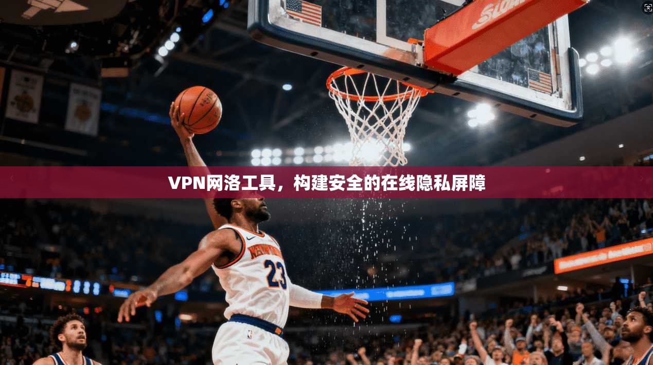 VPN网洛工具，构建安全的在线隐私屏障  第1张