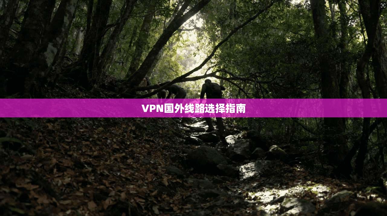 VPN国外线路选择指南  第1张