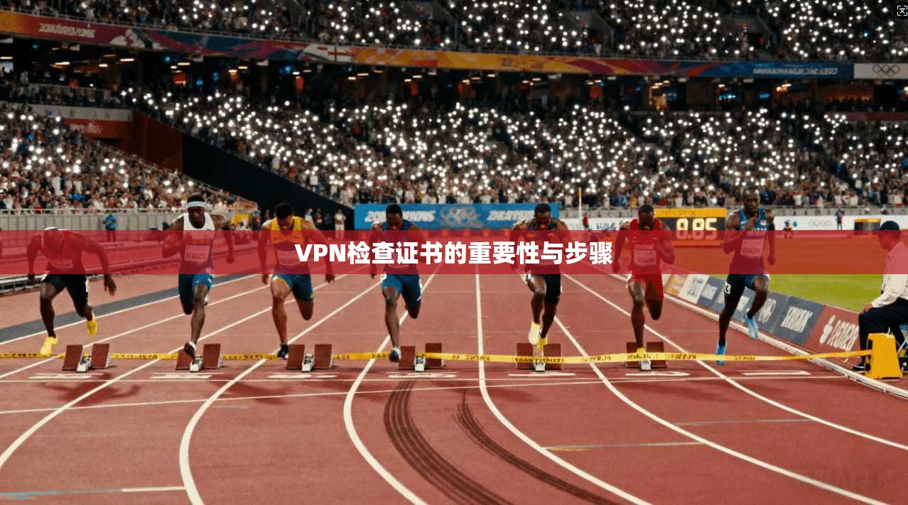 VPN检查证书的重要性与步骤  第1张