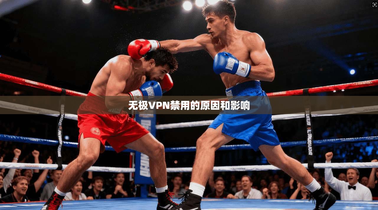 无极VPN禁用的原因和影响  第1张