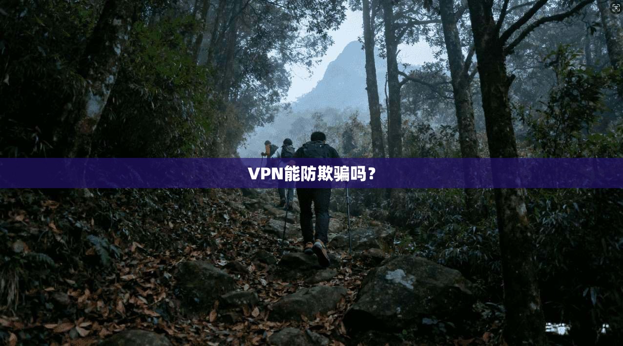 VPN能防欺骗吗？  第1张