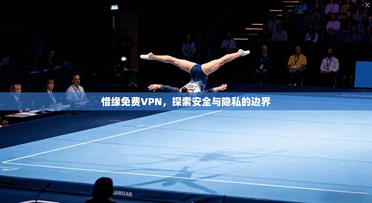 惜缘免费VPN，探索安全与隐私的边界  第1张