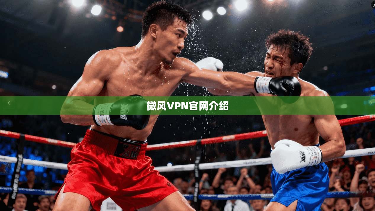 微风VPN官网介绍  第1张