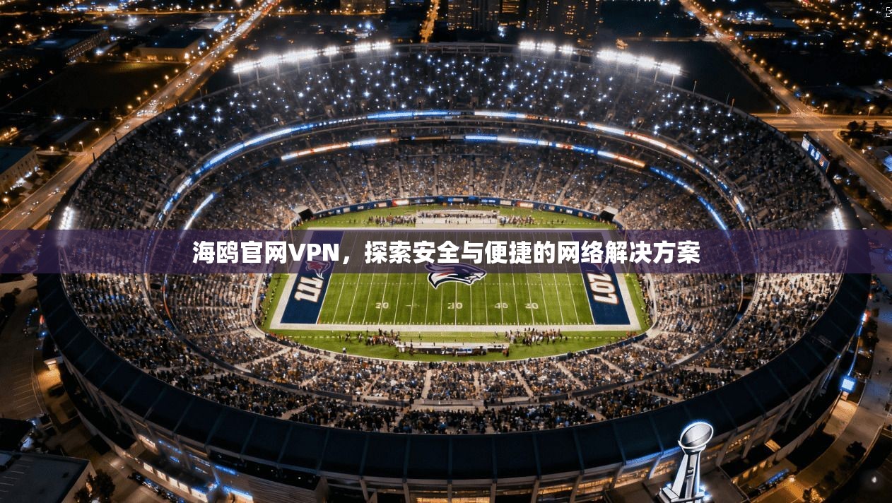 海鸥官网VPN，探索安全与便捷的网络解决方案  第1张
