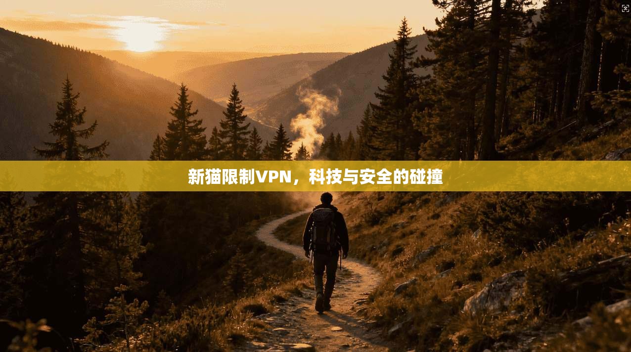 新猫限制VPN，科技与安全的碰撞  第1张