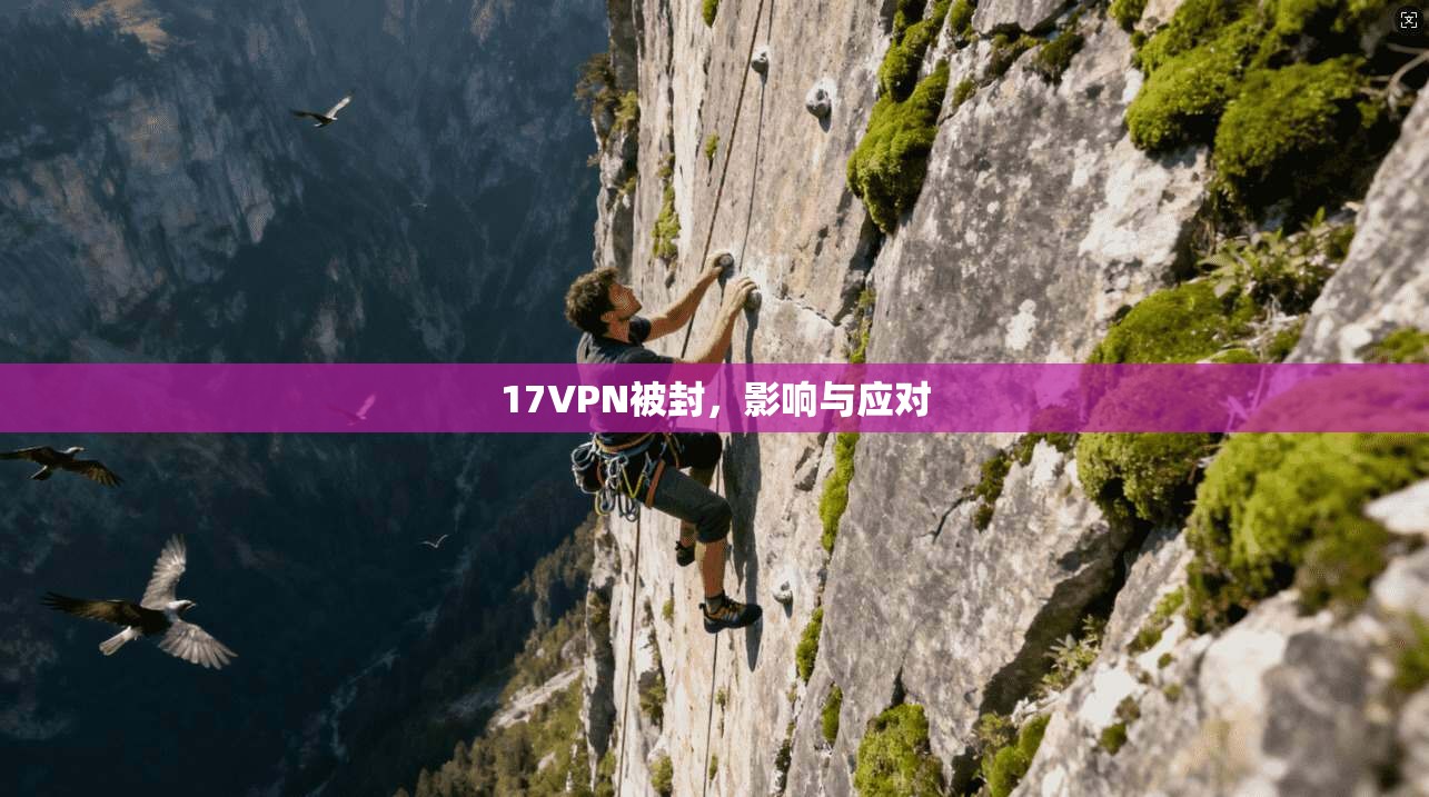 17VPN被封，影响与应对  第1张