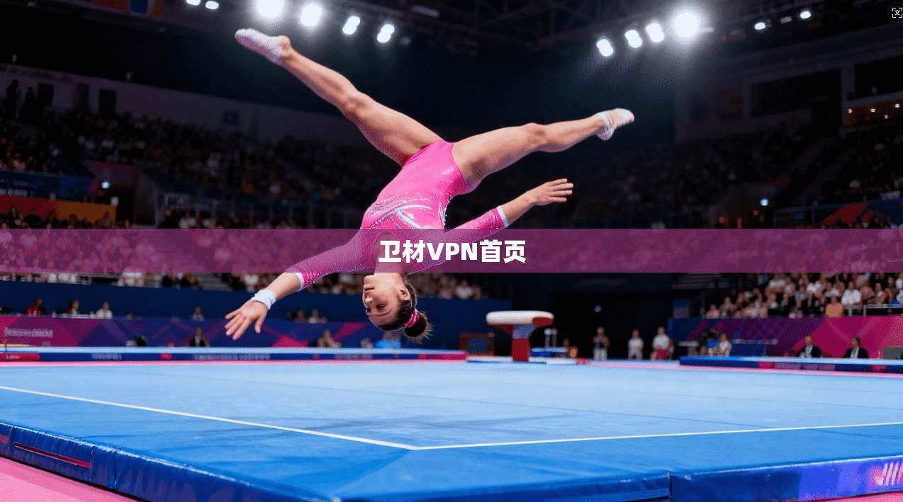 卫材VPN首页  第1张