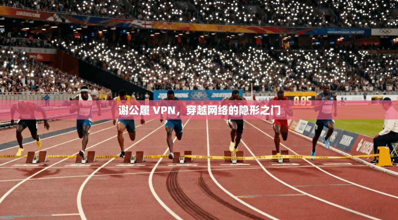 谢公履 VPN，穿越网络的隐形之门  第1张