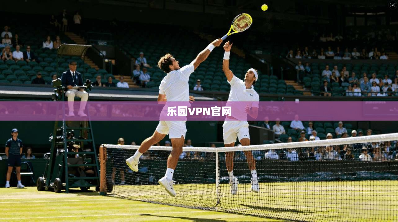 乐园VPN官网  第1张