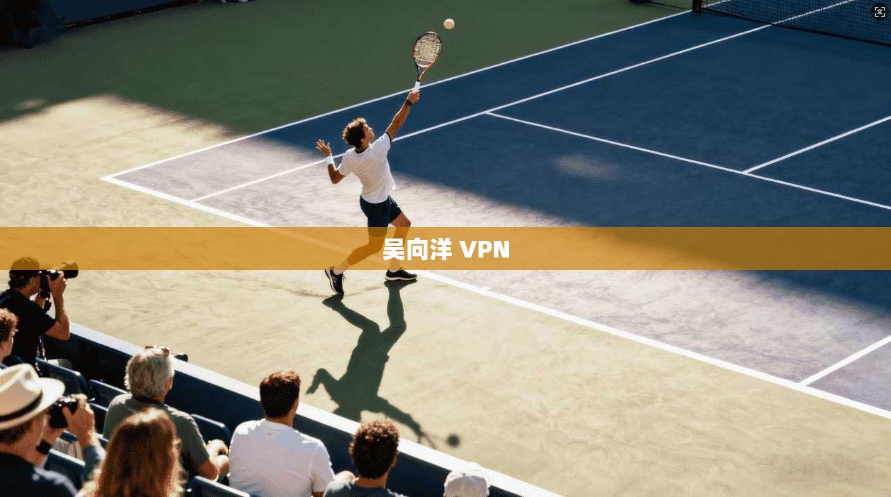 吴向洋 VPN  第1张