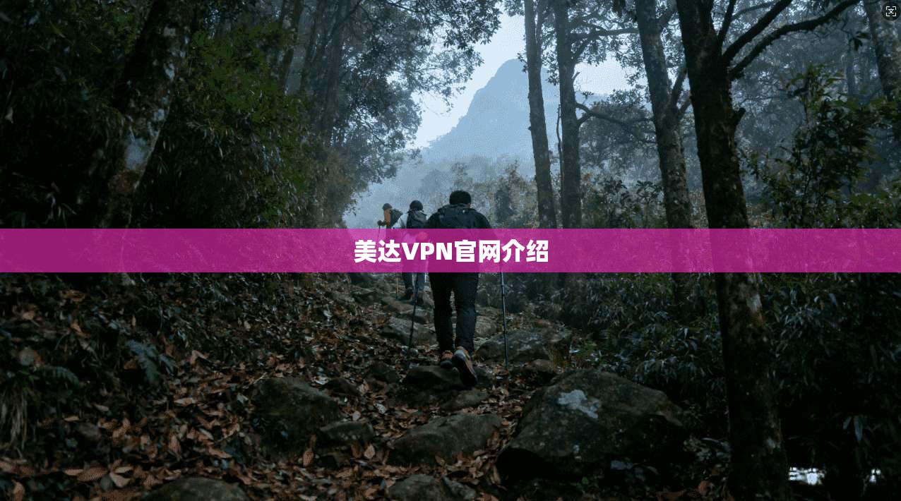 美达VPN官网介绍  第1张