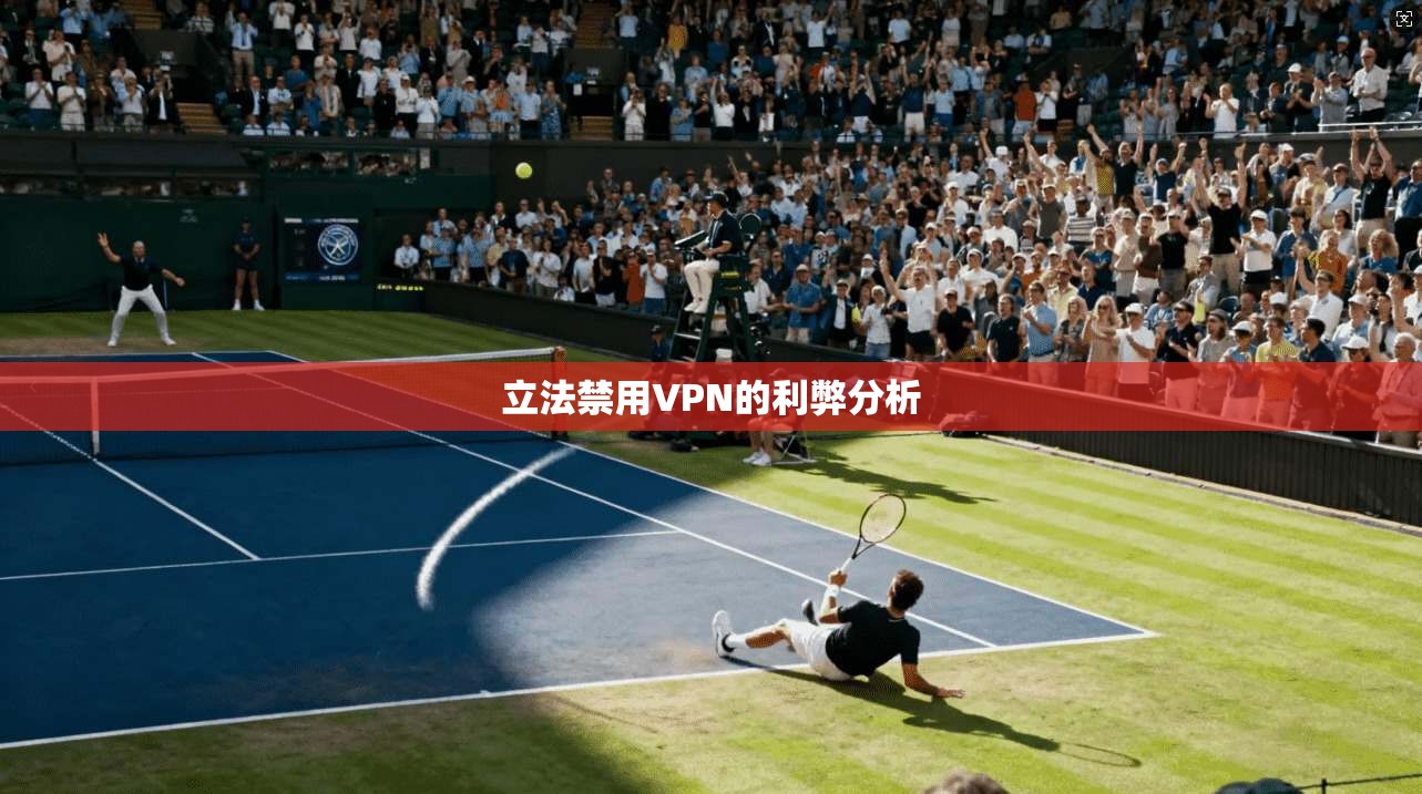 立法禁用VPN的利弊分析  第1张