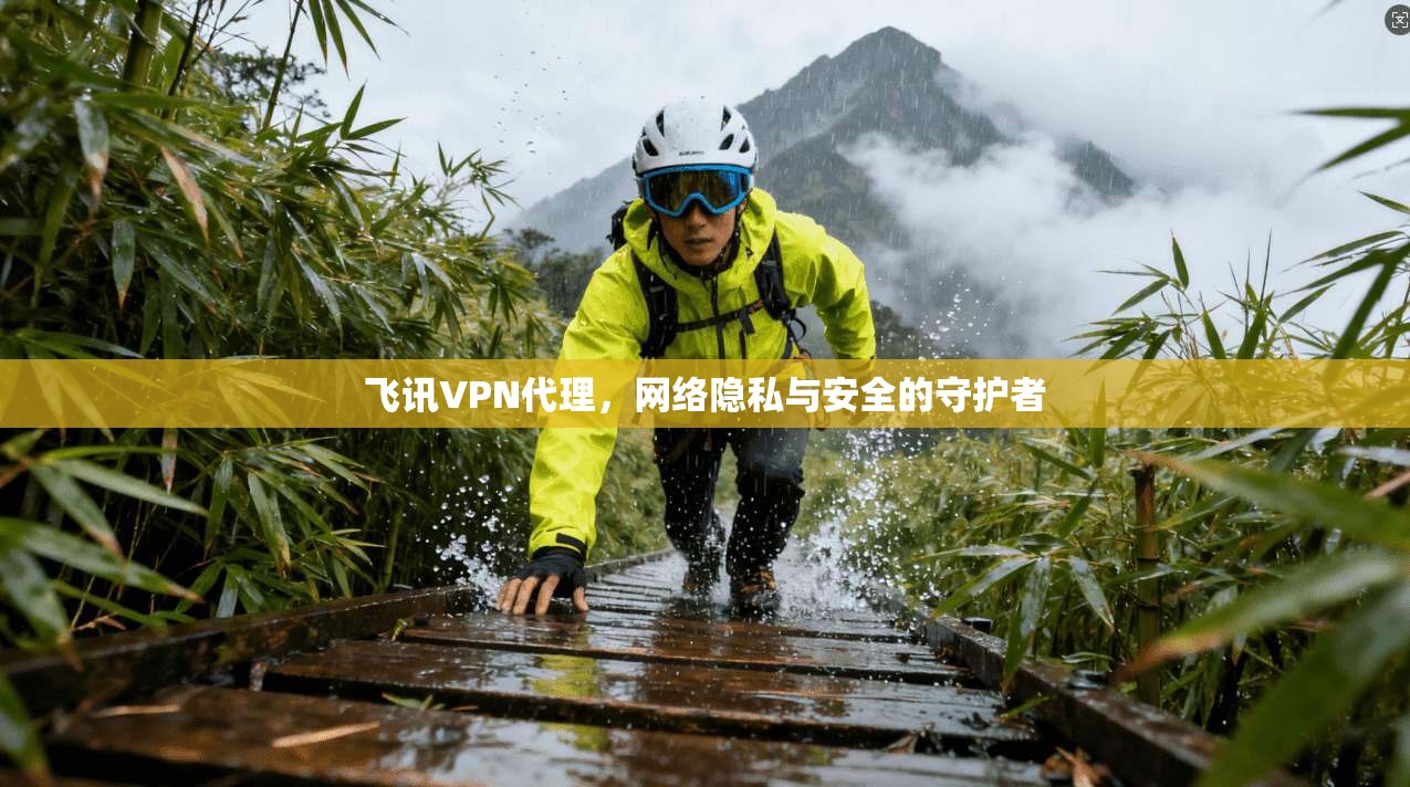 飞讯VPN代理，网络隐私与安全的守护者  第1张