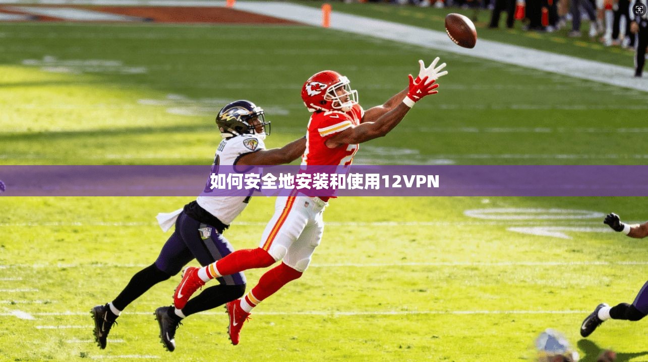 如何安全地安装和使用12VPN  第1张