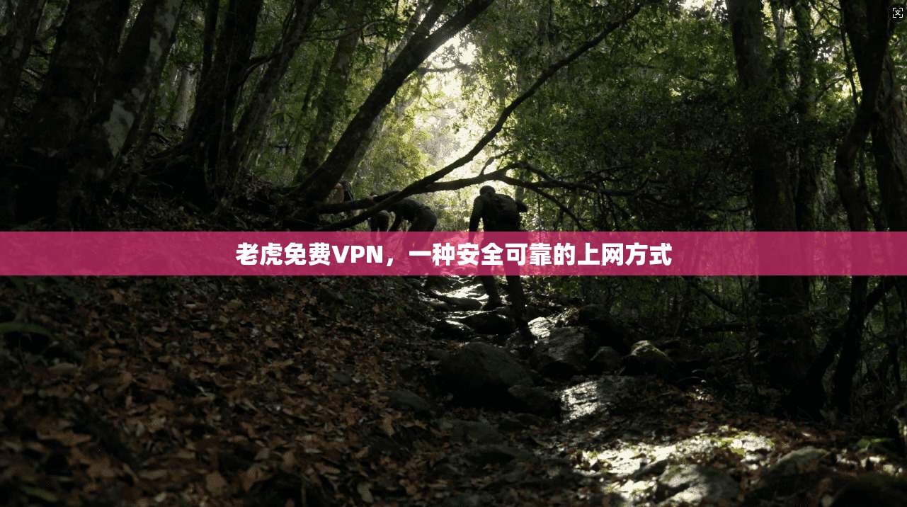 老虎免费VPN，一种安全可靠的上网方式  第1张