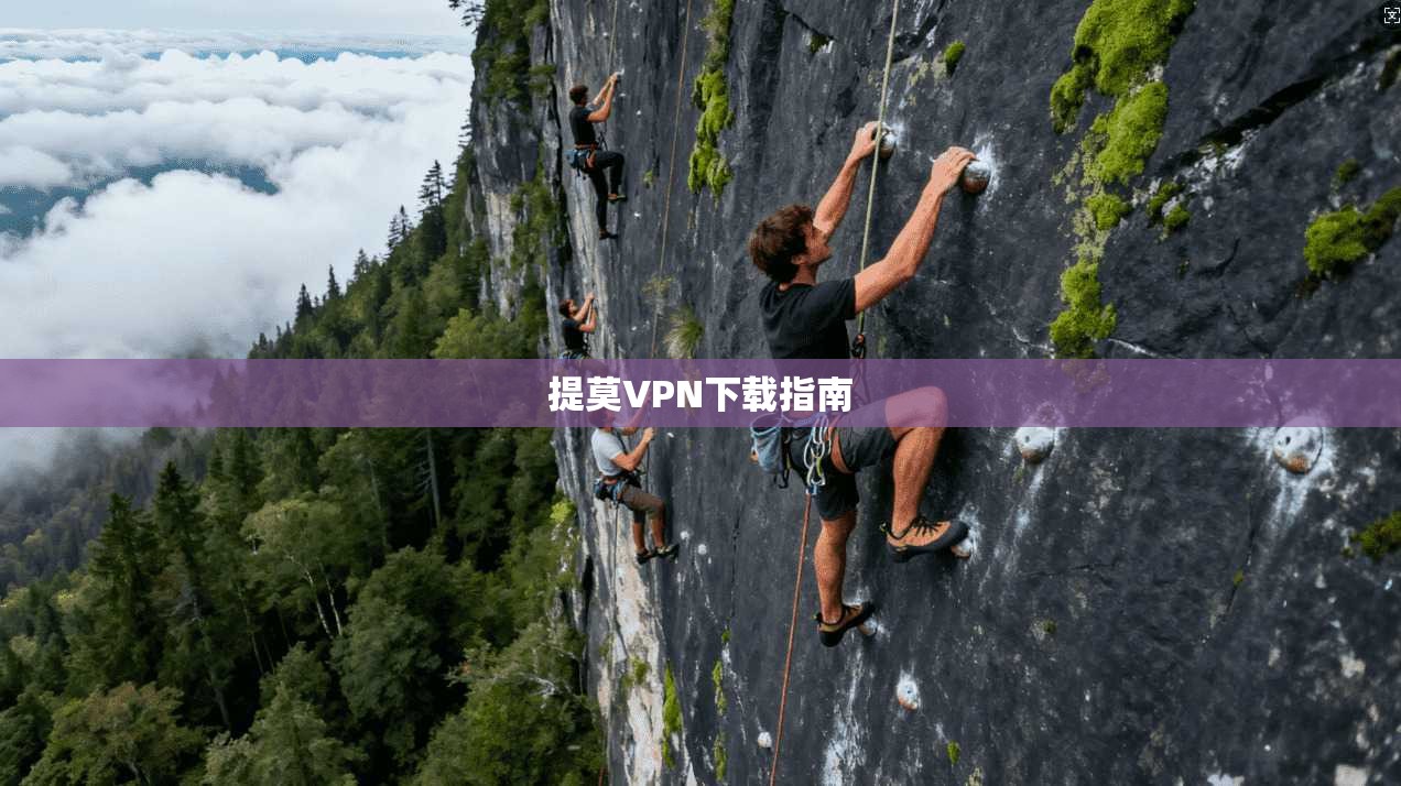 提莫VPN下载指南  第1张