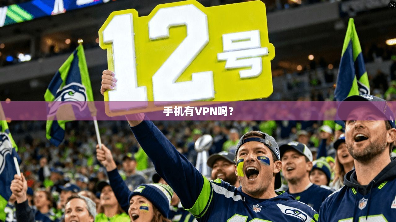 手机有VPN吗？  第1张