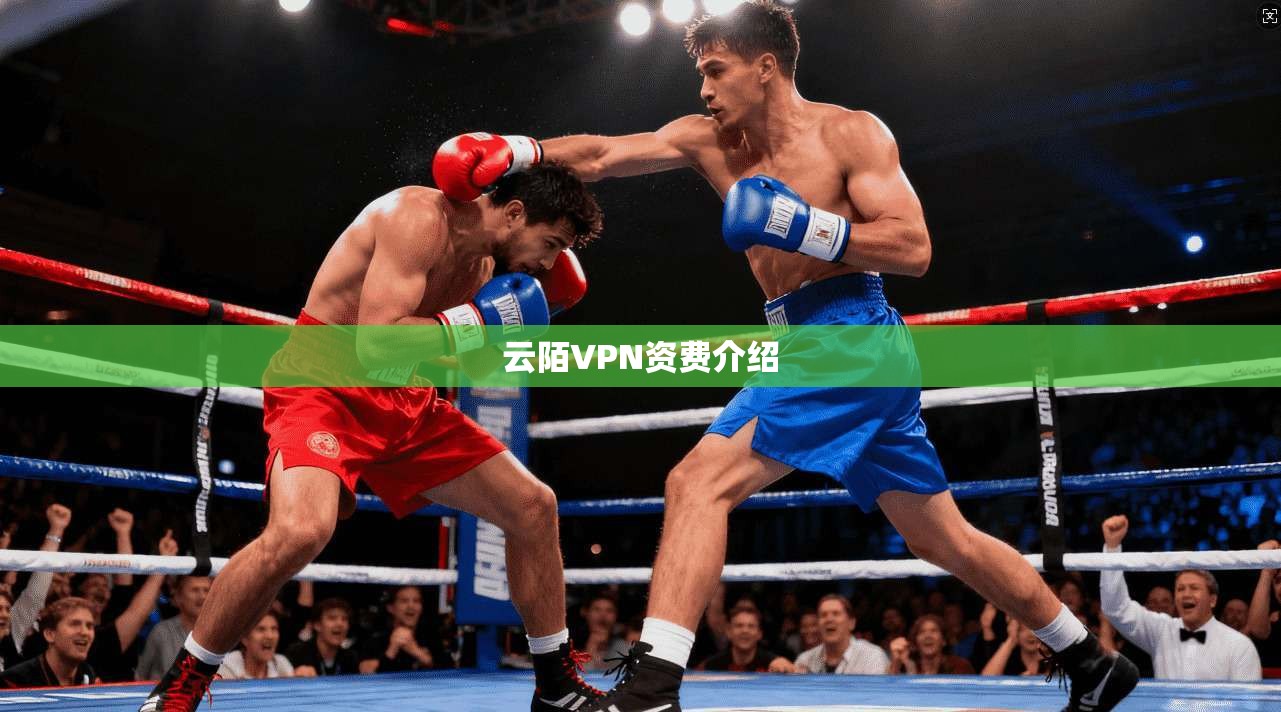 云陌VPN资费介绍  第1张