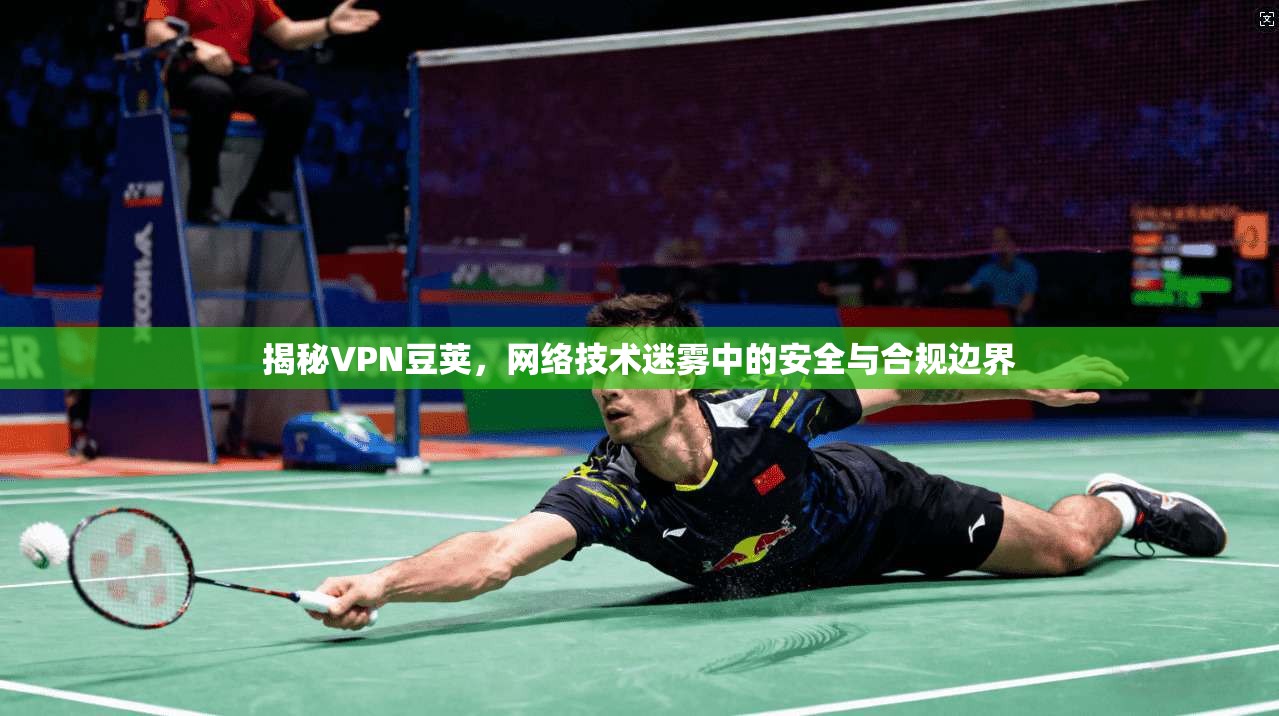 揭秘VPN豆荚，网络技术迷雾中的安全与合规边界
