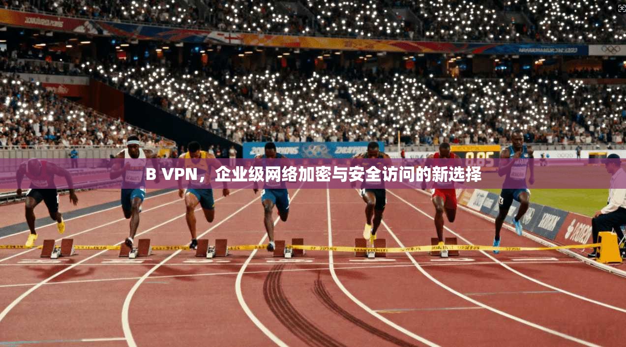 B VPN,企业级网络加密与安全访问的新选择 B VPN,企业级网络加密与安全访问的新选择