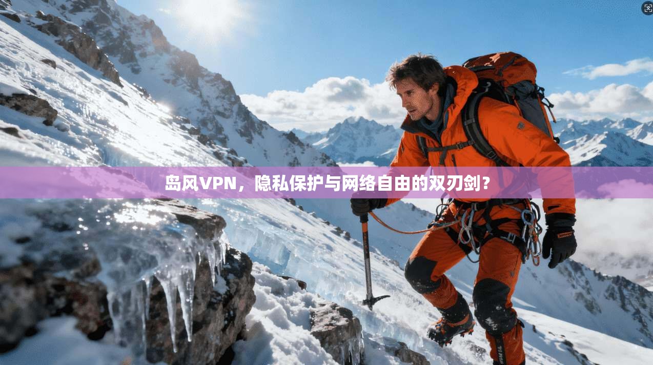 岛风VPN，隐私保护与网络自由的双刃剑？