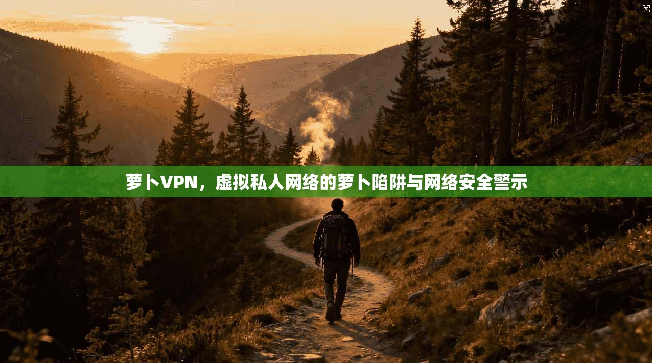 萝卜VPN，虚拟私人网络的萝卜陷阱与网络安全警示