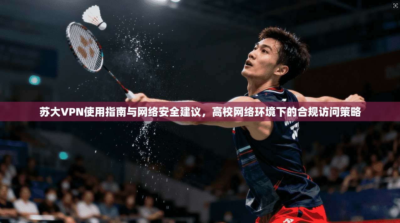 苏大VPN使用指南与网络安全建议，高校网络环境下的合规访问策略