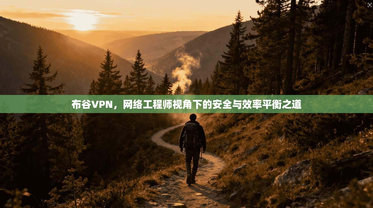 布谷VPN，网络工程师视角下的安全与效率平衡之道