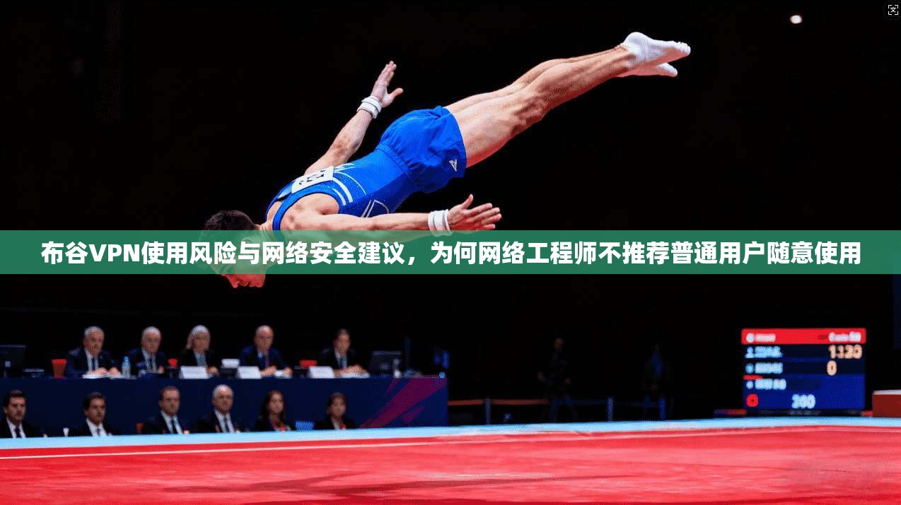 布谷VPN使用风险与网络安全建议,为何网络工程师不推荐普通用户随意使用 布谷VPN使用风险与网络安全建议,为何网络工程师不推荐普通用户随意使用