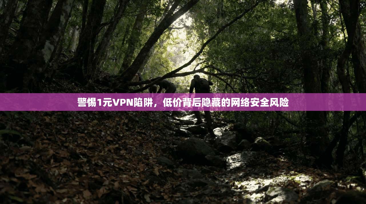 警惕1元VPN陷阱，低价背后隐藏的网络安全风险