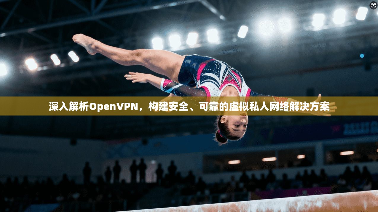 深入解析OpenVPN，构建安全、可靠的虚拟私人网络解决方案