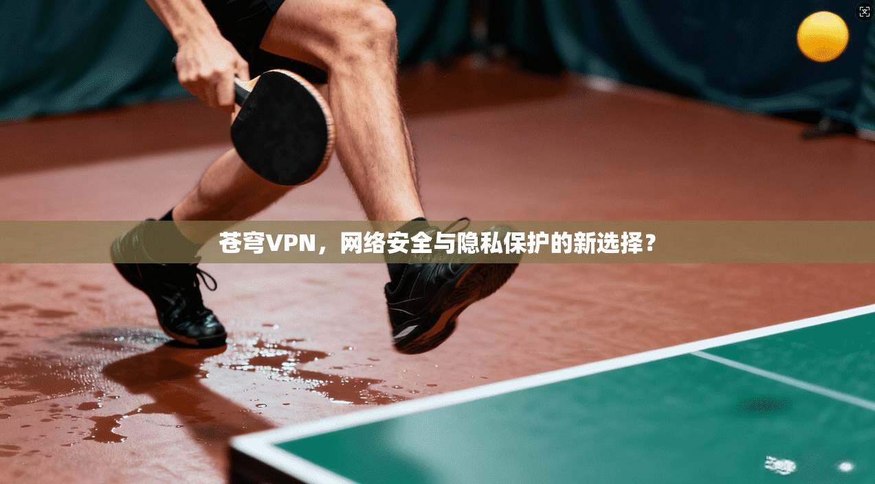 苍穹VPN，网络安全与隐私保护的新选择？