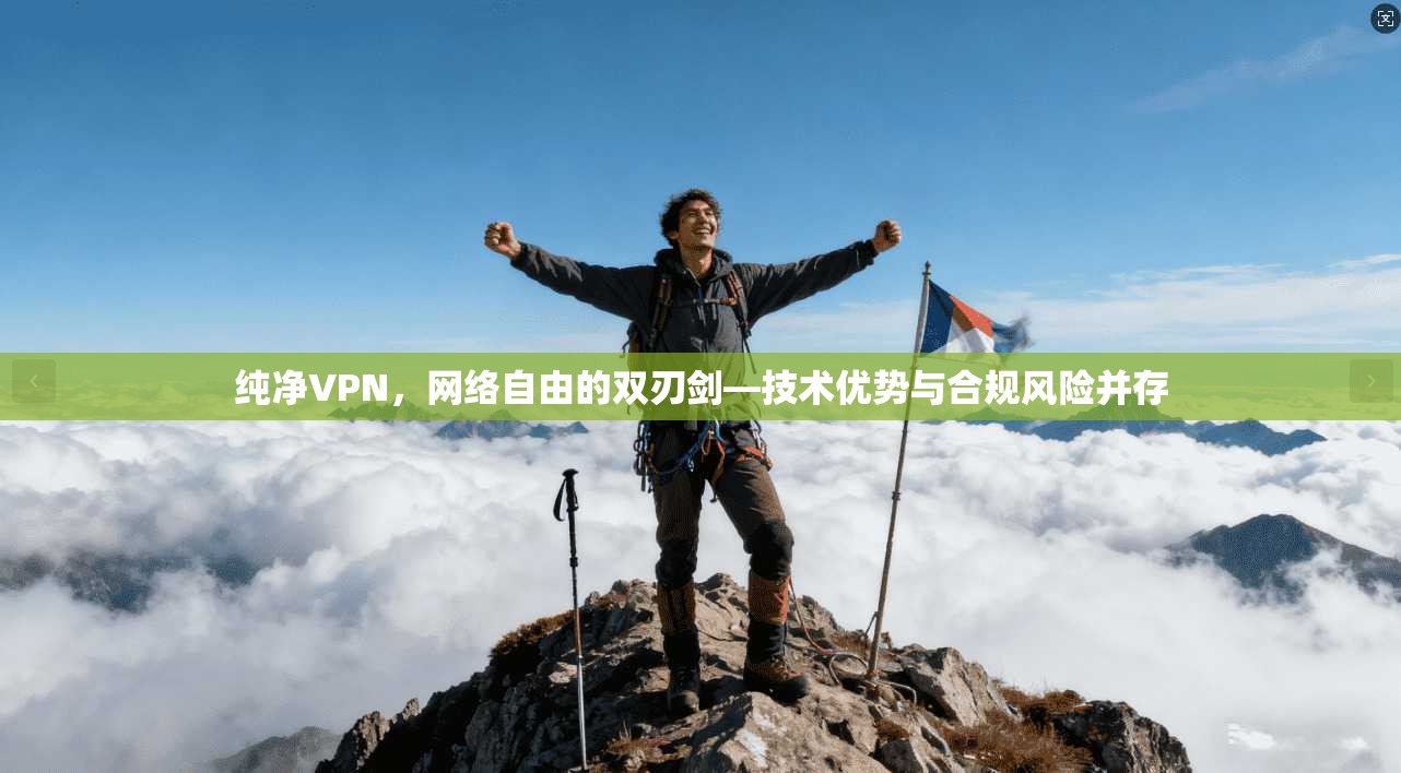 纯净VPN，网络自由的双刃剑—技术优势与合规风险并存