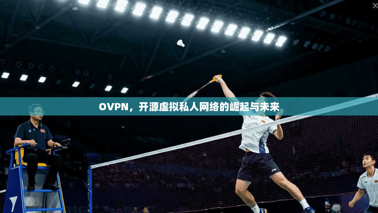 OVPN，开源虚拟私人网络的崛起与未来