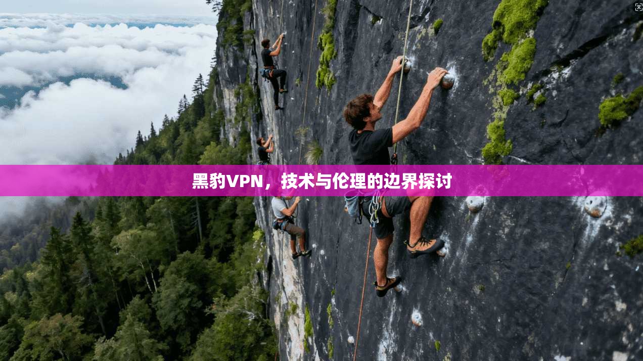 黑豹VPN，技术与伦理的边界探讨