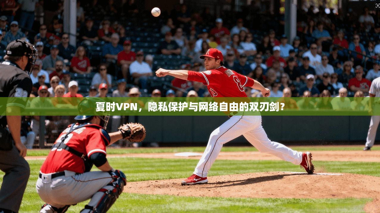 夏时VPN，隐私保护与网络自由的双刃剑？