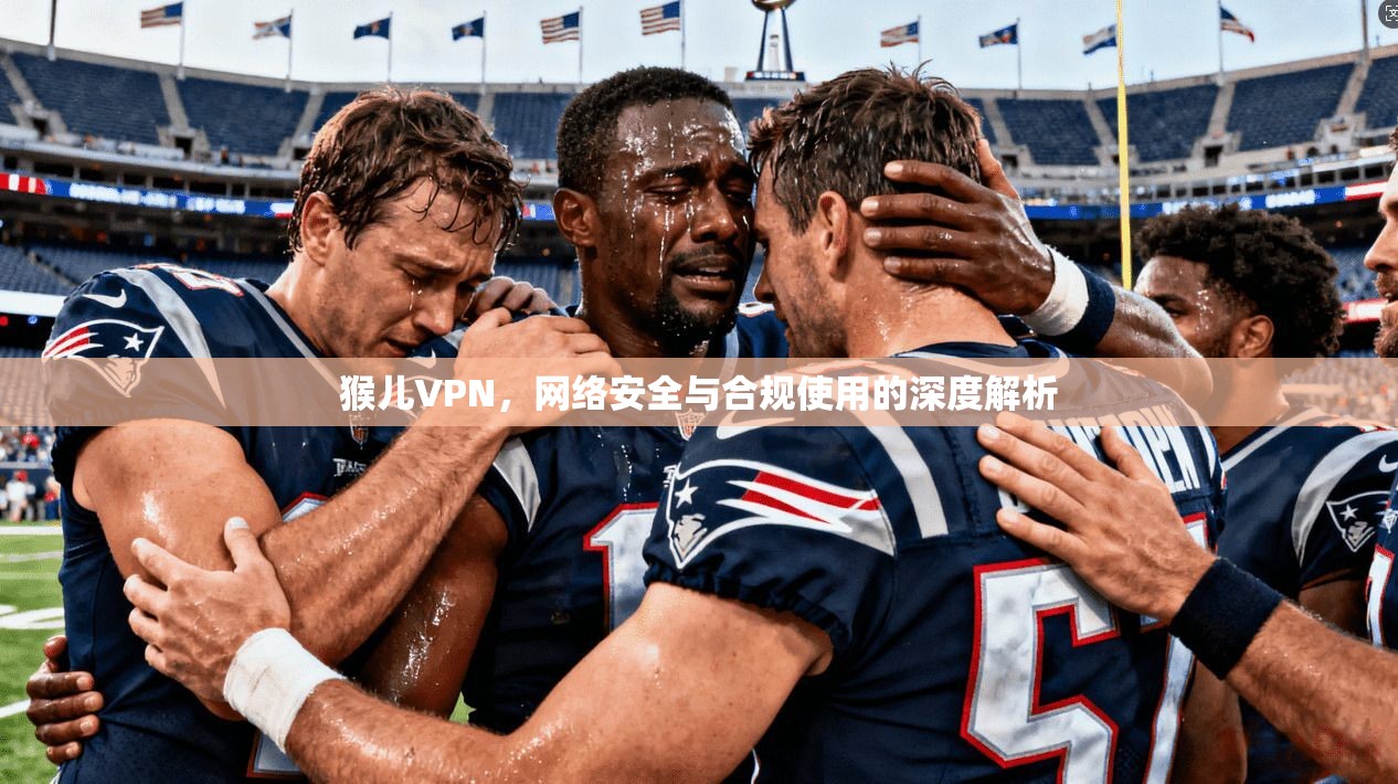 猴儿VPN,网络安全与合规使用的深度解析 猴儿VPN,网络安全与合规使用的深度解析