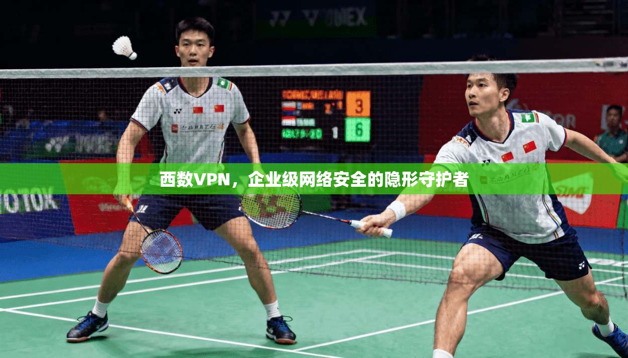 西数VPN,企业级网络安全的隐形守护者 西数VPN,企业级网络安全的隐形守护者