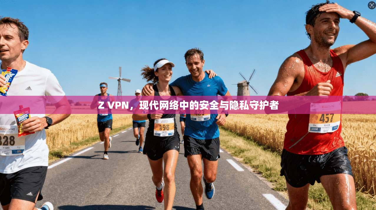 Z VPN，现代网络中的安全与隐私守护者